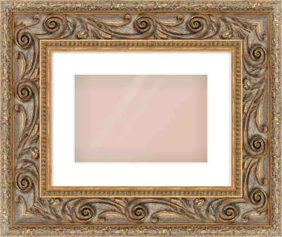 Gold Spoon Frame for 12 × 8in artwork, with Smooth White Single Mount