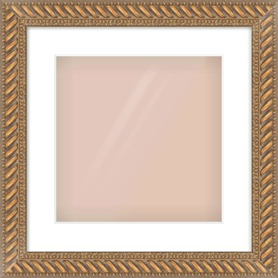 Gold Rope Frame for 12 × 12in artwork, with Smooth White Single Mount