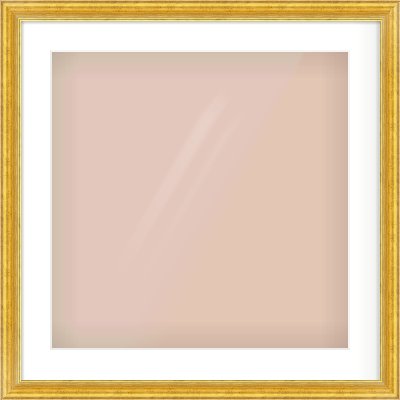 Gold Reverse Frame for 20 × 20in artwork, with Smooth White Single Mount