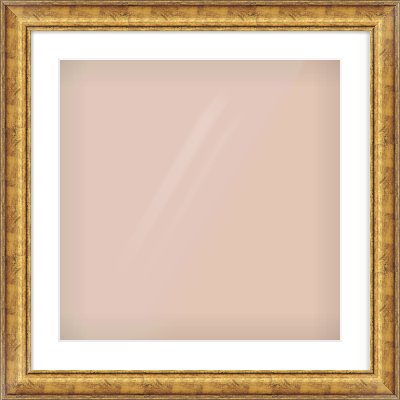 Gold Dome Frame for 20 × 20in artwork, with Smooth White Single Mount