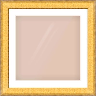 Gold Flat Frame for 20 × 20in artwork, with Smooth White Single Mount
