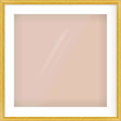 Gold Cushion Frame for 20 × 20in artwork, with Smooth White Single Mount