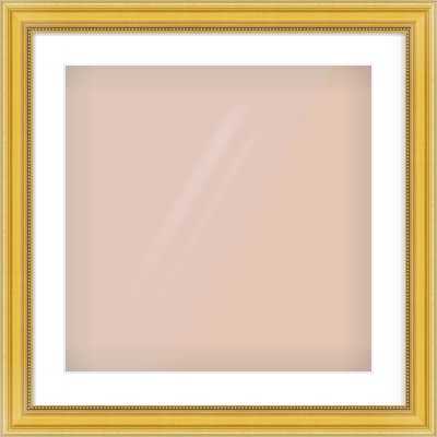Gold Spoon Frame for 20 × 20in artwork, with Smooth White Single Mount