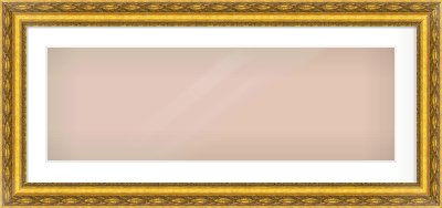Gold Spoon Frame for 90 × 30cm artwork, with Smooth White Single Mount