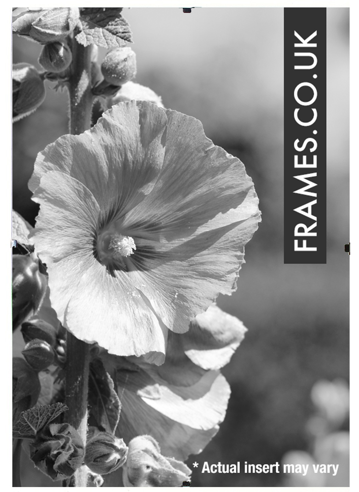 Ready Made Picture Frames from Frames.co.uk